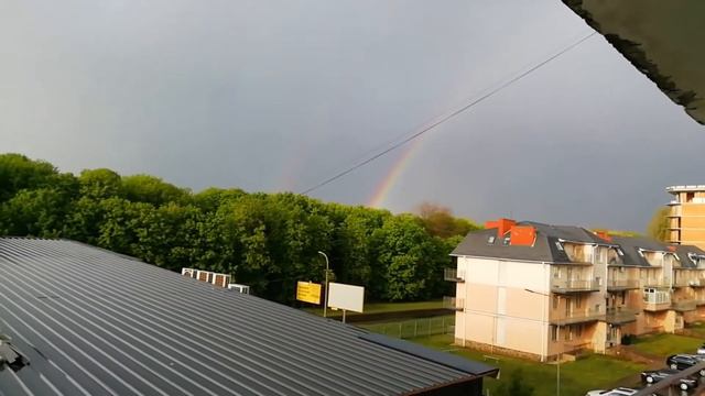 Пересаживаю цветы пока на карантине смотреть онлайн