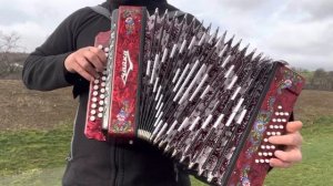 далеко журавли улетели под гармонь #гармонь #гармонист #играйгармонь #чайка