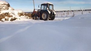 Трактор Мтз 82 везет сено