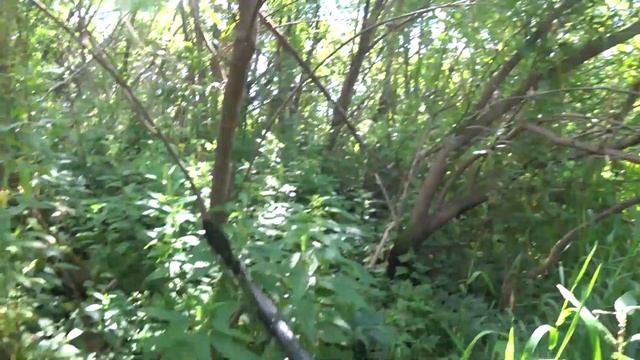 Не догреб до городок 2 или непроходимый перекат на Уньге смотреть онлайн