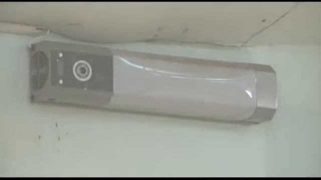 В поисках зверей: какие животные впали в спячку, а каких еще можно успеть посмотреть смотреть онлайн