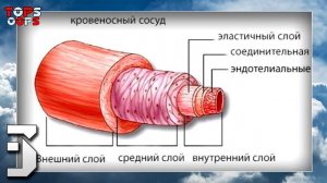 ТОП 5,5 СПОСОБОВ получить ЖЕСТКИЙ СТОЯК