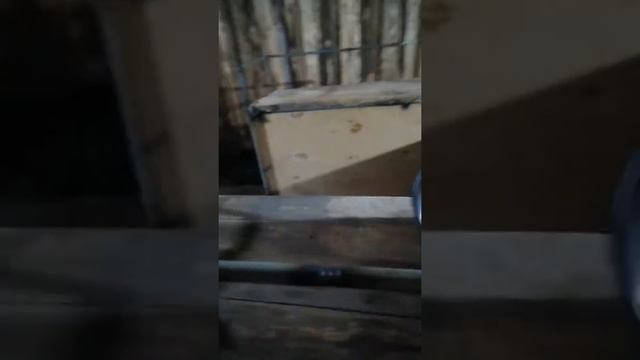 Каракат обзор кузовка смотреть онлайн