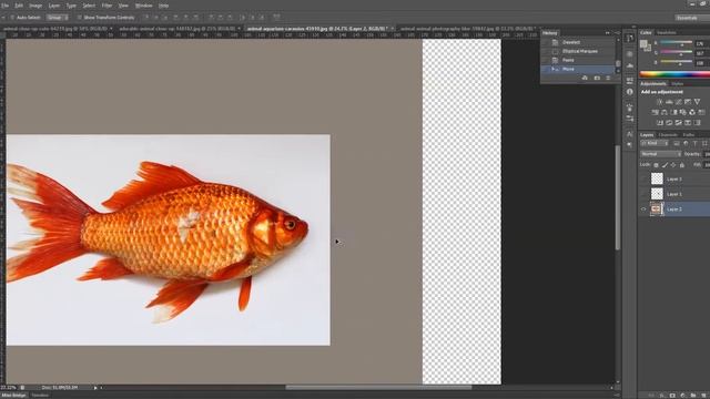 Fox + fish = fosh. The making of a Photoshopped hybrid animal смотреть онлайн