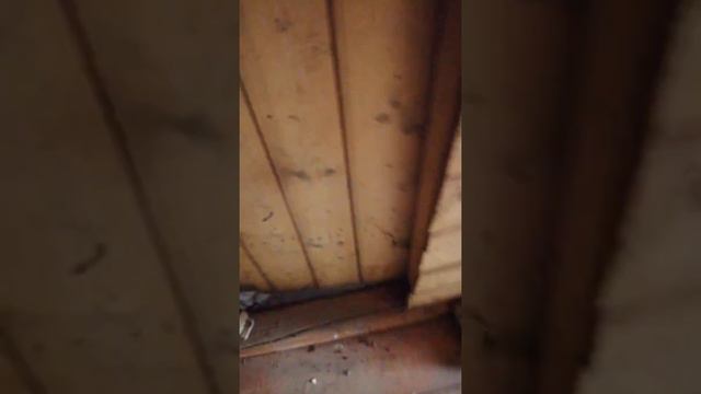 Деревея Сутырь семеновский район смотреть онлайн