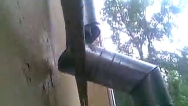 Водосточная труба сломана второй год уже смотреть онлайн