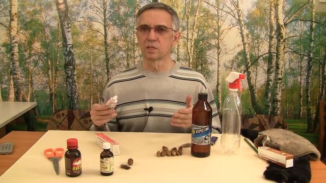 Как сажать желуди осенью. Защита желудей от грызунов. смотреть онлайн