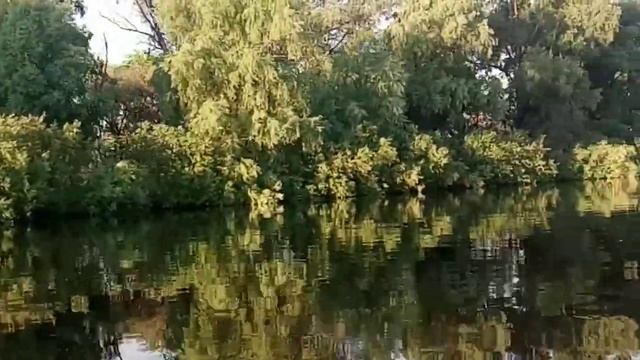Река Припять.Кожан-городок.Лунинецкий район. смотреть онлайн