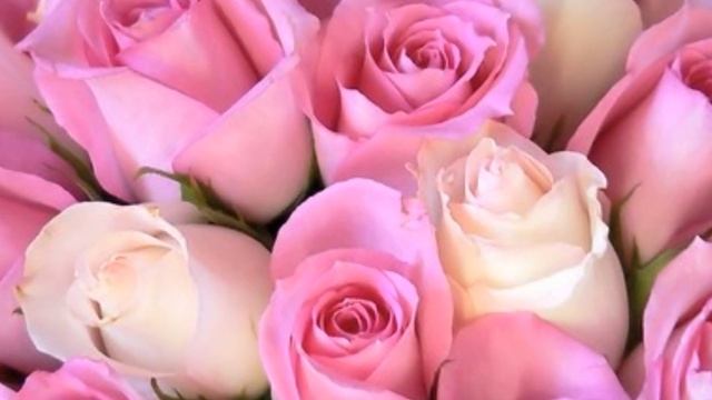 Арабская Свадебная Песня