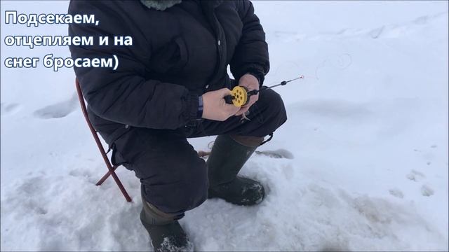Пробую впервые: Зимняя рыбалка на щуку в г. Нягань / Влог январь 2019 / Инструкция как ловить рыбу! смотреть онлайн