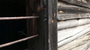 В поисках чермета на пилораме. КОП С ТХ850. Находки на металлоискатель TIANXUN TX-850