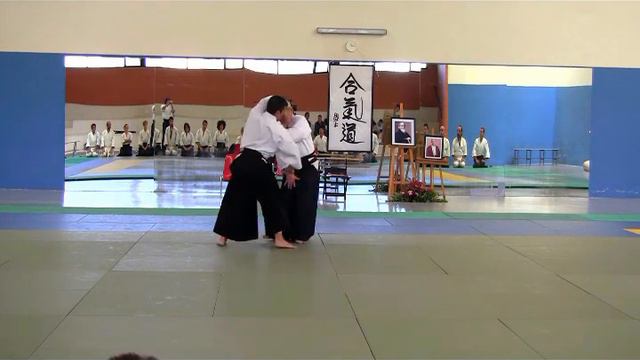 ACAEx - Yasunari Kitaura Shihan - Resumen Curso Cáceres Mayo 2019 смотреть онлайн