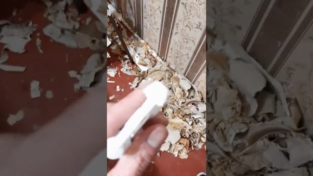 домашний компрессор , воздушный пульверизатор, своими руками смотреть онлайн