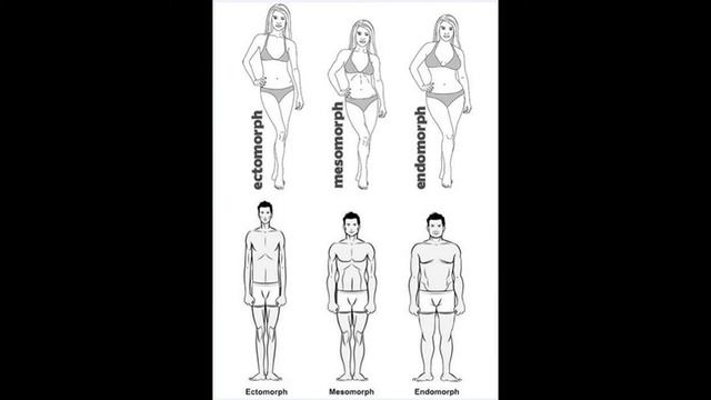 Эктоморф, мезоморф, эндоморф(смотреть до конца) смотреть онлайн