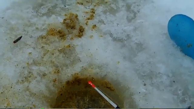 Часть 2-Видео строго 18+!!!Выезд за 98 км.от дома на лесную речку!!! смотреть онлайн