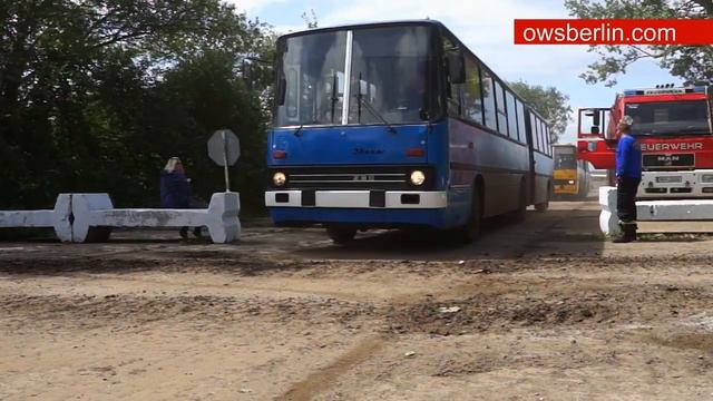 Парад Ретро Автобусов - Ikarus 280, Ikarus 66, Ikarus 630. смотреть онлайн