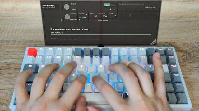 Outemu Silent Forest Typing Sounds [NOT LUBED] | Stock Outemu Silent Forest Tactile Switches смотреть онлайн