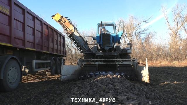 Свеклопогрузчик СПС-4,2 - еще один на елецких полях. Уборка сахарной свёклы - 2021 смотреть онлайн