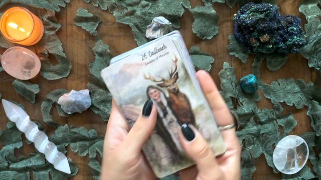 The Celtic Goddess Oracle Deck Review + Flip Through смотреть онлайн