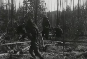 Тунгусский метеорит. В поисках Тунгусского метеорита