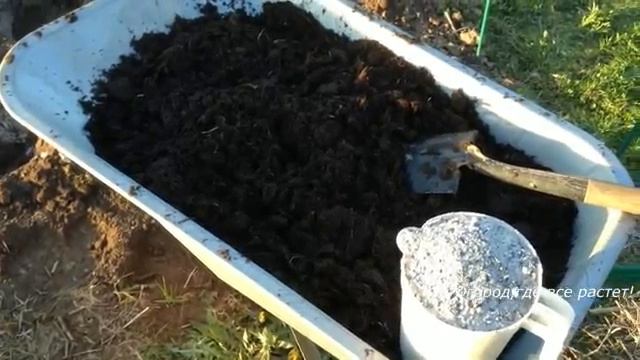 Идеальный вариант посадки баклажанов.mp4 смотреть онлайн