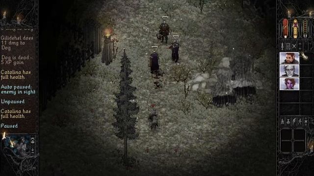 Killing dogs is a tough job! - Let's Play Serpent in the Staglands #5 смотреть онлайн
