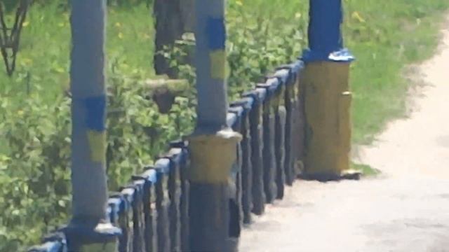 Флаги Украины и украинская символика на ул. Деревянко, 04.05.14., Харьков смотреть онлайн