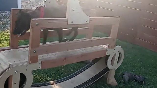 ELI BLOOD смотреть онлайн