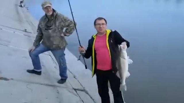 Омский судак смотреть онлайн