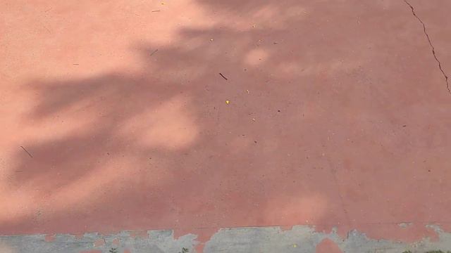 Не человек красит Место