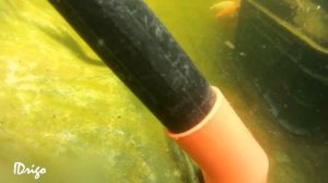 Два способа, как очистить дно пруда своими руками.