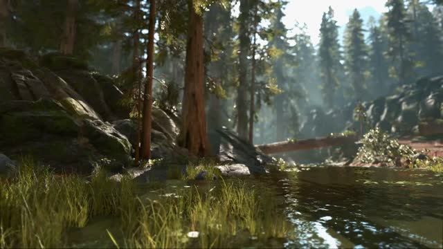?Endor Forest Ambience