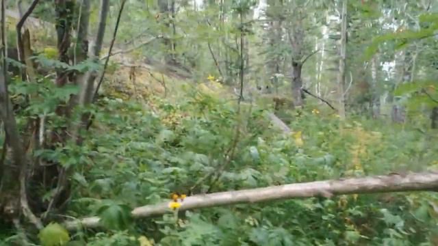 синюха смотреть онлайн
