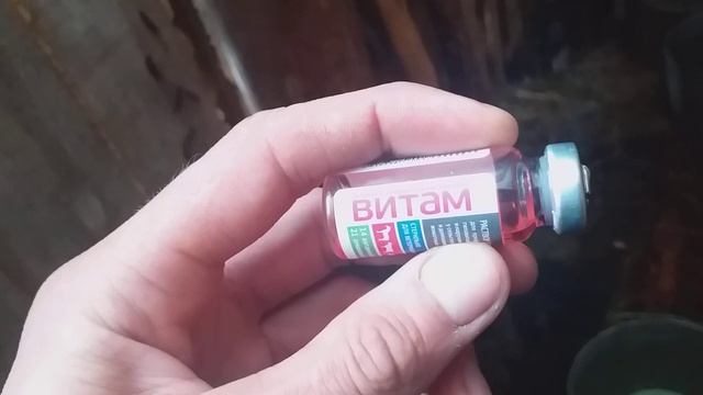 лечим телёнка легочник бронхо пневмония. курс лечения