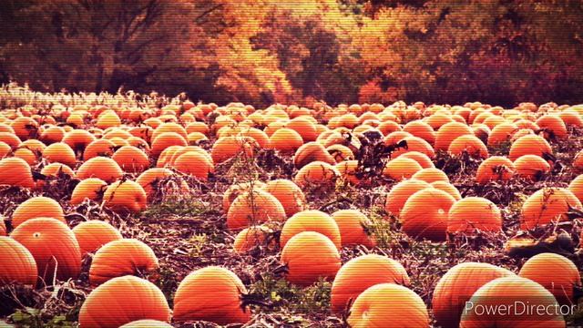 "The Pumpkin Patch" - Plants vs Zombies creepypasta (HALLOWEEN EDITION) смотреть онлайн
