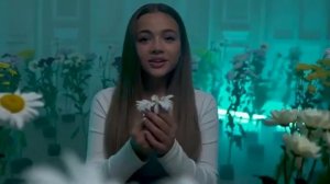 ромашки летят в Костер