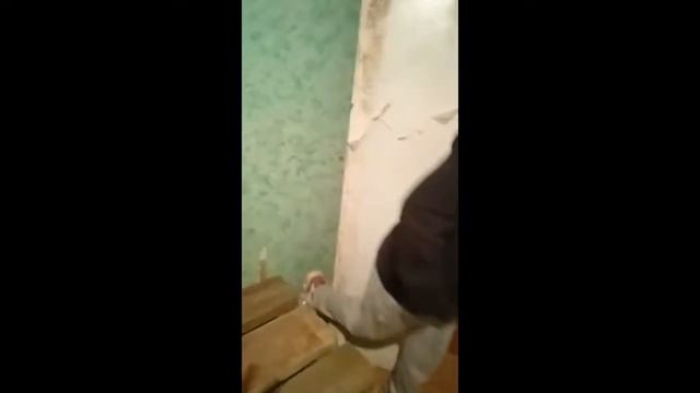 Прятки в новом доме! Делаем ремонт (мы живём не здесь) Прятки с подругами)) #прятки смотреть онлайн