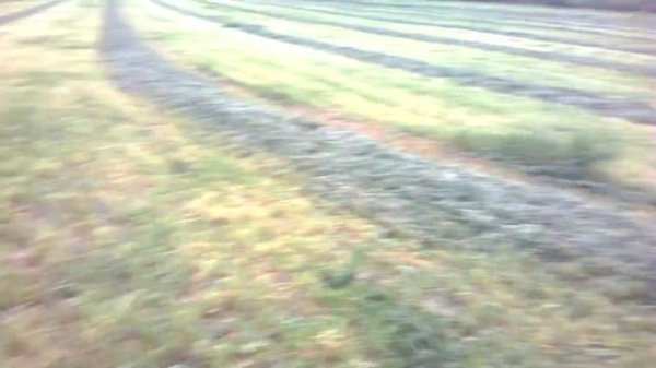 Golden Mask 5+, Mikron NRG 100, Mikron NRG 150 и их совместный коп по старине!