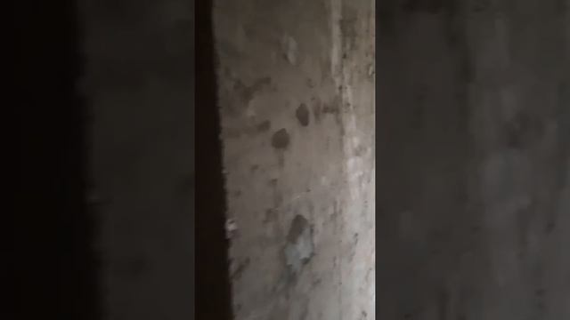 Квартира студия, Иркутск, Пискунова 148/8 смотреть онлайн