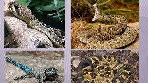 Национальные парки Северной Америки. Ч. 3