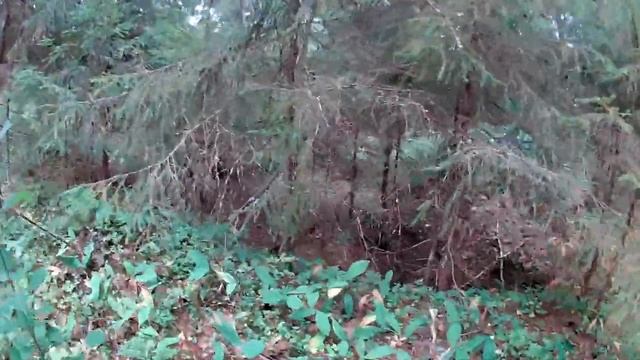 рыбалка на щуку. местная река смотреть онлайн