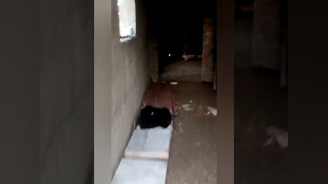 Укладка теплого пола и керамической плитки. Первый опыт. смотреть онлайн