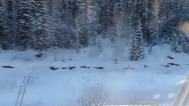 [2012.01.09] Природа Шерегеша смотреть онлайн