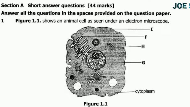 ECZ Biology past paper 2 (2016). Question 1 смотреть онлайн