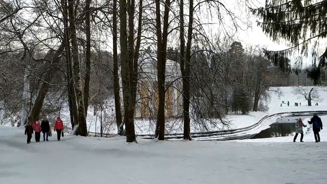Павловский парк зимой, январь 2021 | пригороды Петербурга смотреть онлайн