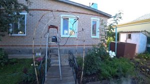 Делаем арку для плетистой розы