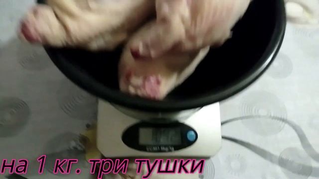 ПОРОДА АНГЛИЙСКИЙ БЕЛЫЙ ПЕРЕПЕЛ. смотреть онлайн