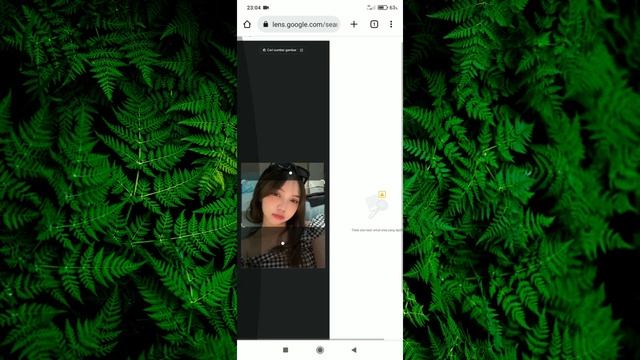 2 Cara Mencari Identitas Orang Menggunakan Foto