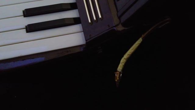 Musikerboard-Ratespiel-5.12.16 Mit Hohner Verdi II Akkordeon