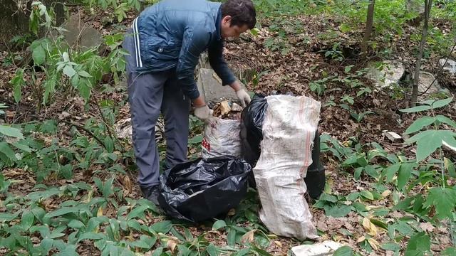 Проект #яУбираюЛес #iCleanForest День 23 (Лес у Самары) смотреть онлайн